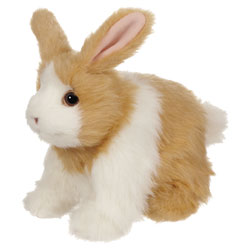 Hop Hop Mon Lapin