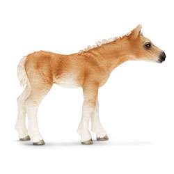 Poulain Haflinger 