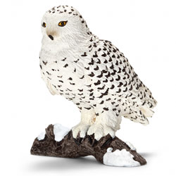 Harfang des Neiges 