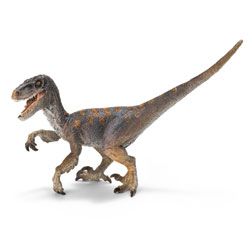 Vélociraptor (Velociraptor)