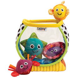 Mon 1er Aquarium