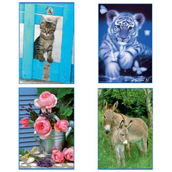 Puzzle de 500 pièces