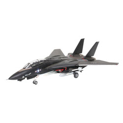 Avion F-14 A Black Tomcat