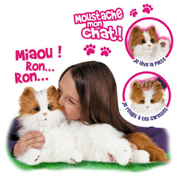 Moustache Mon Chat