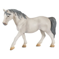 Jument Lipizzan