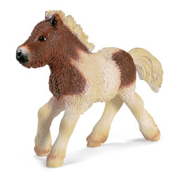 Poulain Shetland