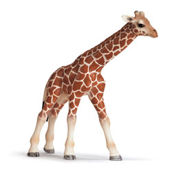 Bébé Girafe