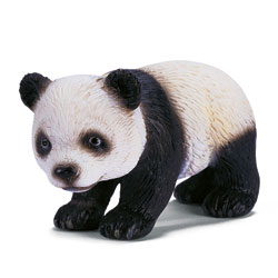 Bébé Panda