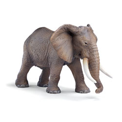Eléphant d'Afrique mâle