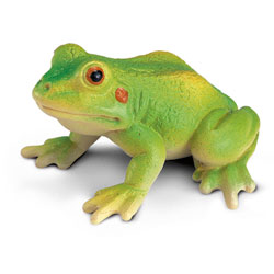 Grenouille