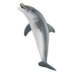 Dauphin