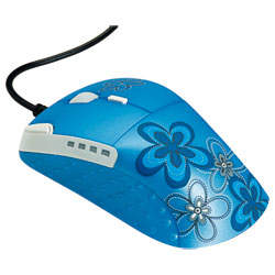 Souris pour ordinateur
