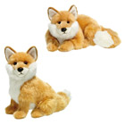 Renard roux