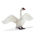 Cygne Blanc