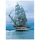 Puzzle 500 Pièces Adulte-Amerigo Vespucci
