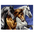 Peinture aux N° - Cavalcade