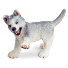 Chiot Husky