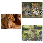 Puzzle 1500 Pièces Géo