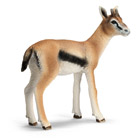 Gazelle 