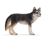 Loup