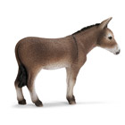 Ane 