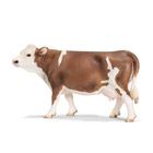 Vache Simmental Française