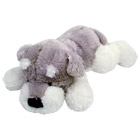 Chien couché