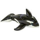 Baleine géante