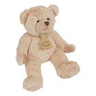 Histoire d'Ours-Peluche Calin Ours Ivoire