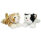 Peluche petit chat