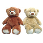 Ours assis 50cm