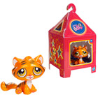Petshop en Chine