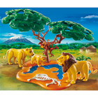 4830-Famille De Lions Avec Singes