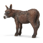 Baudet du Poitou