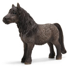 Hongre Poney Shetland