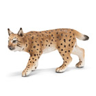 Lynx Femelle
