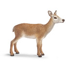 Biche Rouge