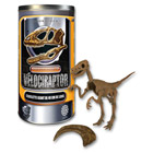 Squelette Géant Vélociraptor