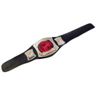 Ceinture Champ électrovision
