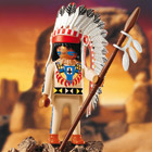 4589-Chef indien