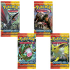 Starter HeartGold et SoulSilver