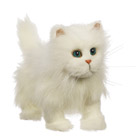 En avant mon petit chat-Blanc