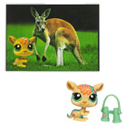 Petshop Kangourou et Carte Postale