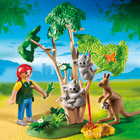 4854-Arbre à Koalas