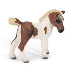 Poulain Falabella