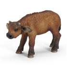 Veau Du Buffle D'Afrique