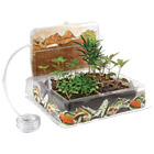 Kit d'observation des insectes et des plantes