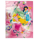 Sac cadeau Papier Princesse Disney XL