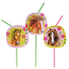 8 Pailles Chevaux