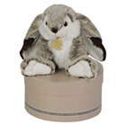 Les Z'animoos Lapin Marius